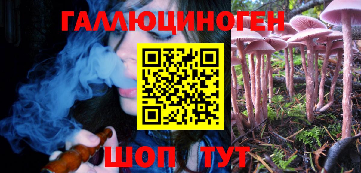 Псилоцибиновые грибы ЛСД Барабинск